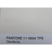 Ткань Футер c начесом (gardenia) Pantone 11-0604TPX фотография