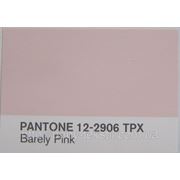 Ткань Футер c начесом (barely pink) Pantone 12-2906TPX фото