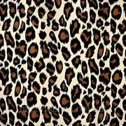 Коттон стрейчевый набивной «Панач» (леопард) фотография