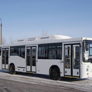 Автобусы городские НЕФАЗ-5299-0000030-31