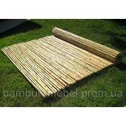 Забор(ограждения) из бамбука 600х100см фото