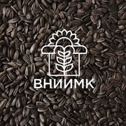 Семена подсолнечника ВНИИМК Кондитер фото