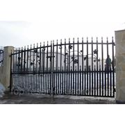 Кованые ворота, калитки от 4000 - 8000 грн.