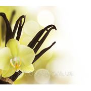 Фотообои Цветок ванили фотография