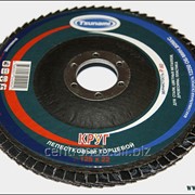 Круг лепестковый торцевой 125 мм Р60 фото