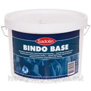 Грунт-краска для глянцевых поверхностей Bindo BASE, 10л фото