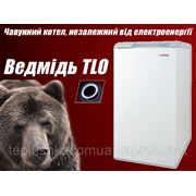 Котел газовый энергонезависимый Медведь 30 TLO (Protherm)