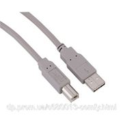 Hama 29099 USB A-B Серый 1.8м