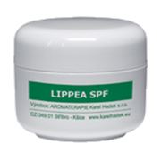 Бальзам для губ защитный «Липпия» (LIPPEA SPF)