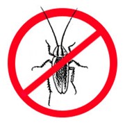 Уничтожение тараканов в Астане фото