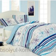 Комплект постельного белья семейный ARYA Line Flower ранфорс 1000281 фото