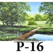 Репродукция Р-16, размер 50х100, 30х60 фото