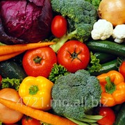 Овощи свежие фотография