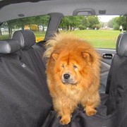 Защитный чехол в автомобиль (для перевозки домашних животных и грузов) фото
