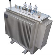 Трансформатор масляный мощностью 400кВА напряжением 10(6)/0,4кВ, Трансформаторы силовые масляные фотография