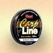 Леска рыболовная Carp Line, коричневая, 150 м 0,33 мм тест 11 кг фото