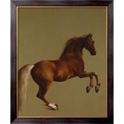 Картина Скаковая лошадь Маркиза Rockingham , Стаббс, Джордж фото