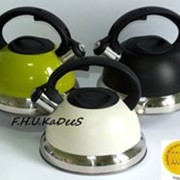 Чайник газовый с индукцией в трех цветах, Ronner TW 41 фотография