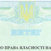 Свидетельство на право собственности фото
