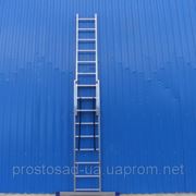 Двухсекционная лестница-стремянка Alumet 5212 фото