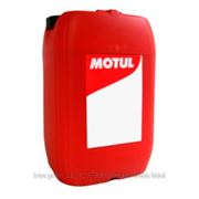 Motul 8100 Eco-nergy 5W-30 20л фотография