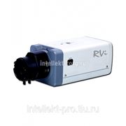 IP камера RVi-IPC22DN (без объектива) фото