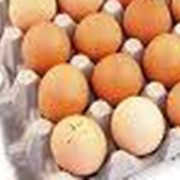 Яйцо столовое С1 55-64,9 гр.