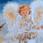 Картина по номерам Ангелочек с птичкой фотография