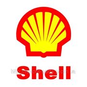 Моторные масла Shell (Шелл) фото