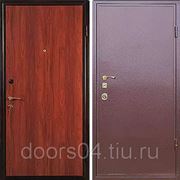 Входные двери с отделкой “ЛАМИНАТ + ПОРОШОК“ фото