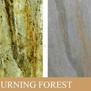 Каменный шпон на просвет (Translucent) Burning Forest фото