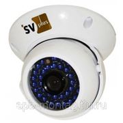 SV Plus V233W - Видеокамера цветная купольная фото