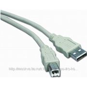 Gembird AM/BM Кабель интерфейсный USB 2.0 3.0 м, пакет, Hub->Device CC-USB2-AMBM-10 (арт. CC-USB2-AMBM-10) фотография