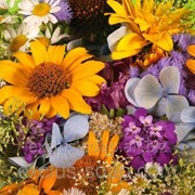 Весенние цветы отдушка-10 мл фото