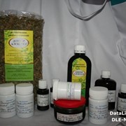 Народная медицина противоопухолевые травы фотография