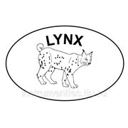 Ленточны пилы LYNX фото