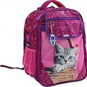 Школьный рюкзак 'Отличник' 0058070 розовый кот фото