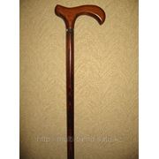 Трость 1665-1 Sauer (Германия) фото