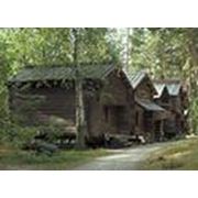 Туры в Хельсинки фото