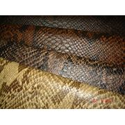 Искусственная кожа King Cobra фото