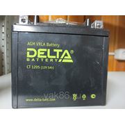 Аккумуляторная батарея “DELTA“CT - 1205 фотография