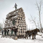 Продаём дрова в Херсонской области. фото