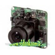 VM32BSHR-B36 - модульная ч/б видеокамера, Vision Hi-Tech фотография
