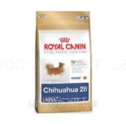 Сухой корм для собак Royal Canin Chihuahua 28 Adult 0,5кг