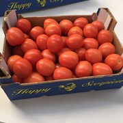 продаем томаты фотография