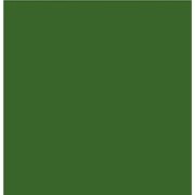 Пигмент зеленый хромовый ХТС-54 фото