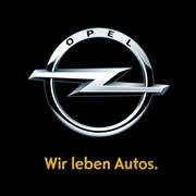 OPEL ПОДШИПНИКИ СТУПИЦЫ фотография