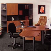 Мебель для кабинетов фото