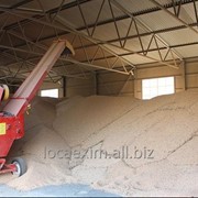 Услуги складские для зерновых культур (Depozitarea cerealelor) фото