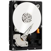 WD WD2000F9YZ 2TB фото